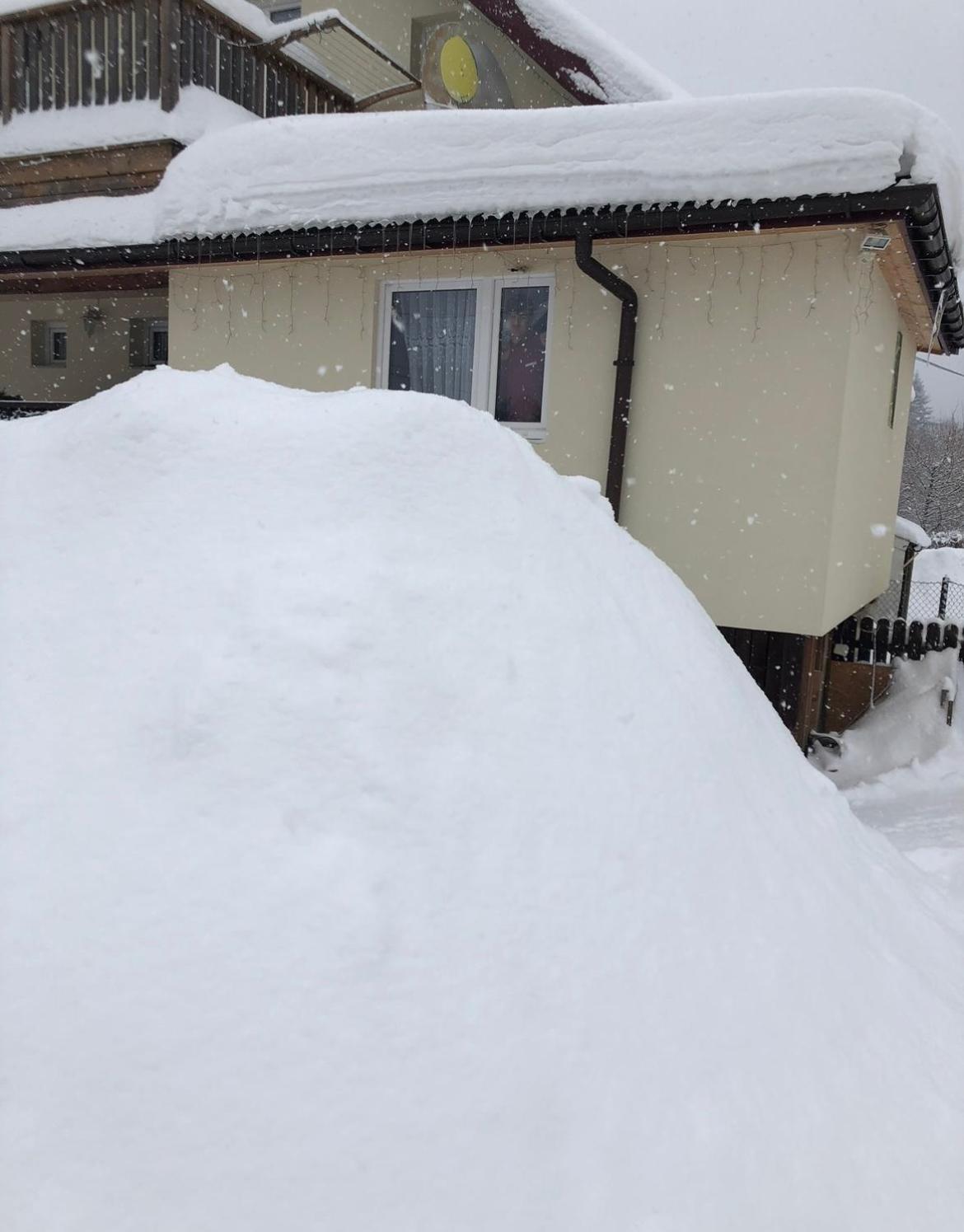Agroturystyka Dor-Ali U Ali Zubracze Extérieur photo